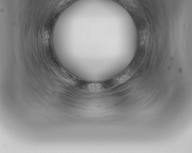 X0000060270279200511112055