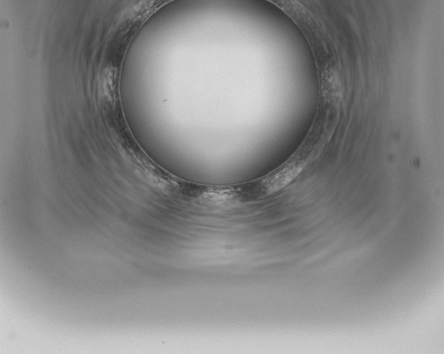 X0000060270280200511112055