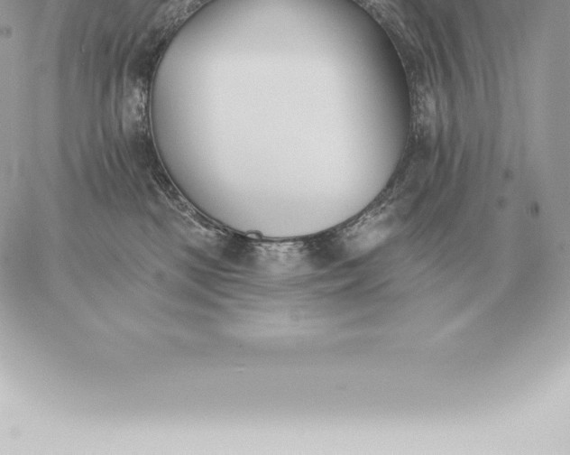 X0000060270281200511112055