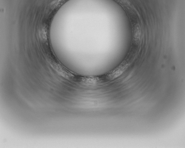 X0000060270282200511112055