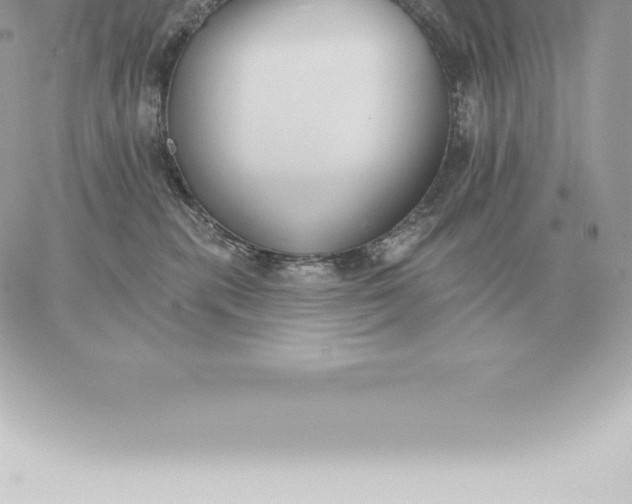 X0000060270283200511112055