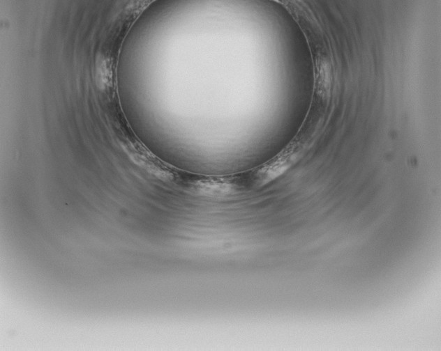 X0000060270284200511112055