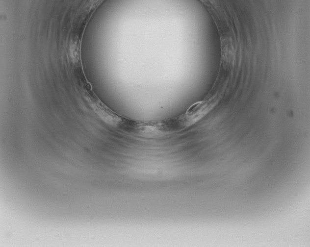 X0000060270285200511112055