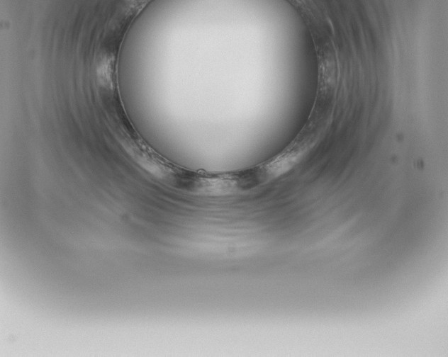 X0000060270286200511112055