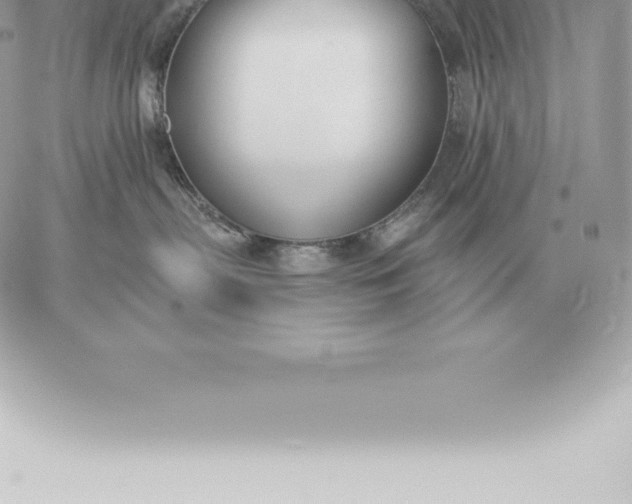 X0000060270287200511112055