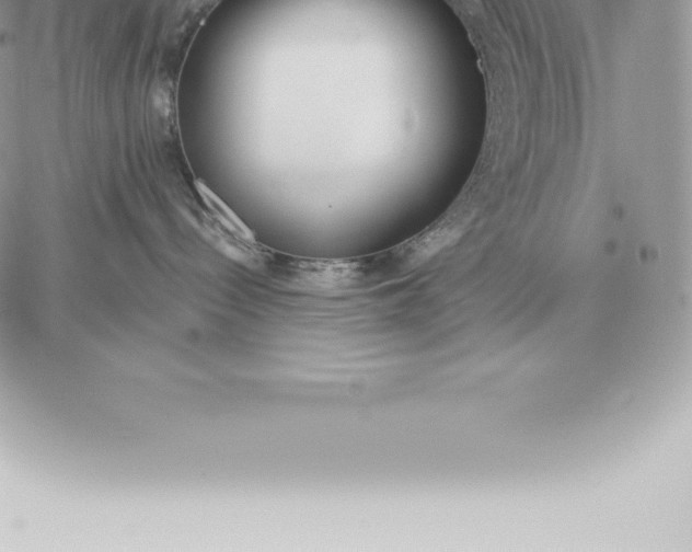 X0000060270288200511112055