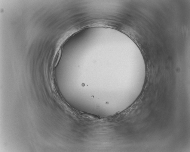 X0000060270289200511112054