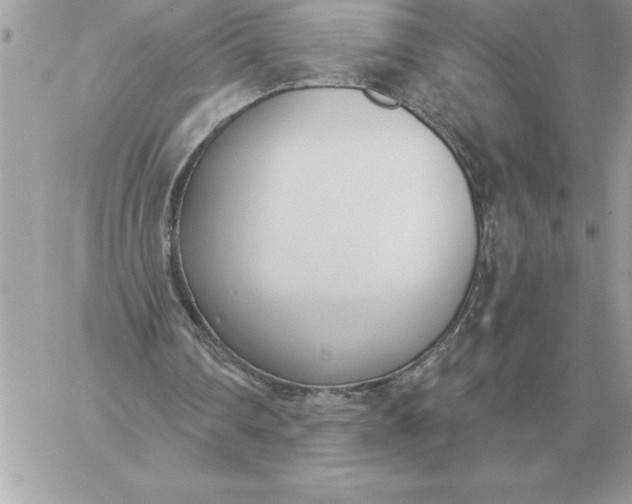 X0000060270290200511112054