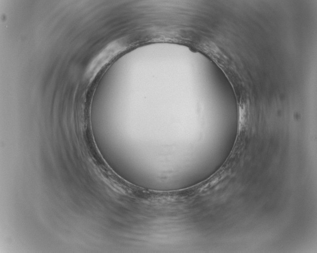 X0000060270291200511112054