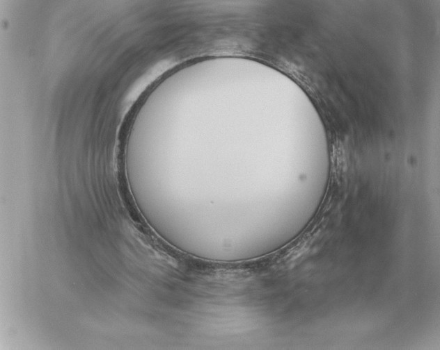 X0000060270292200511112054