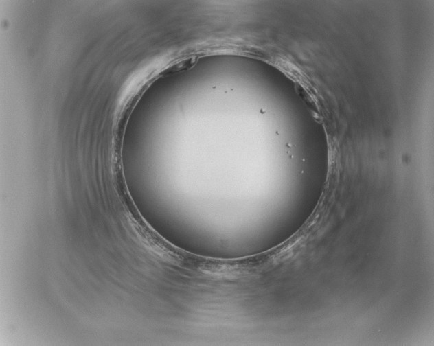 X0000060270293200511112054