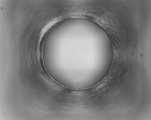 X0000060270294200511112054