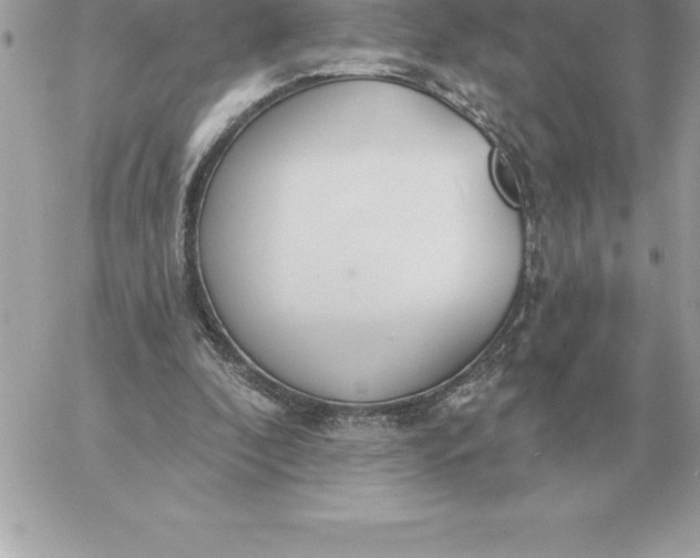 X0000060270296200511112054