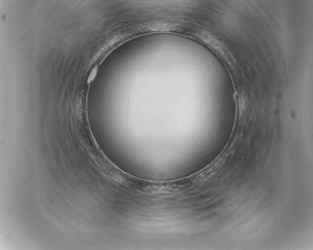 X0000060270297200511112054