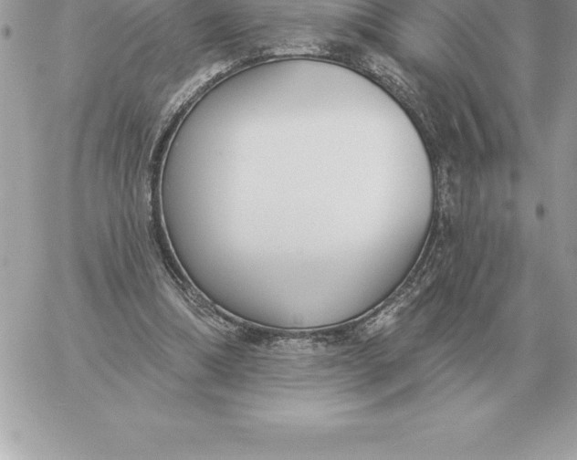 X0000060270298200511112054