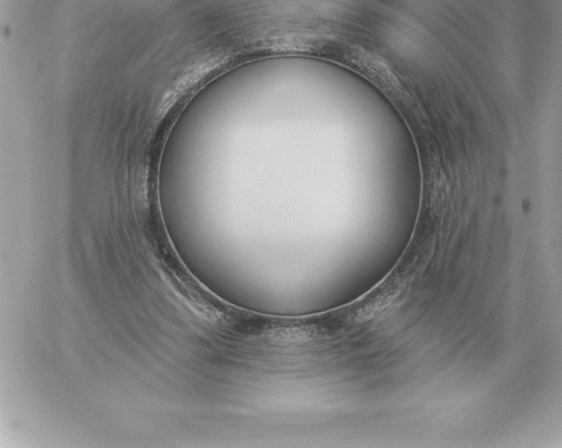 X0000060270299200511112054