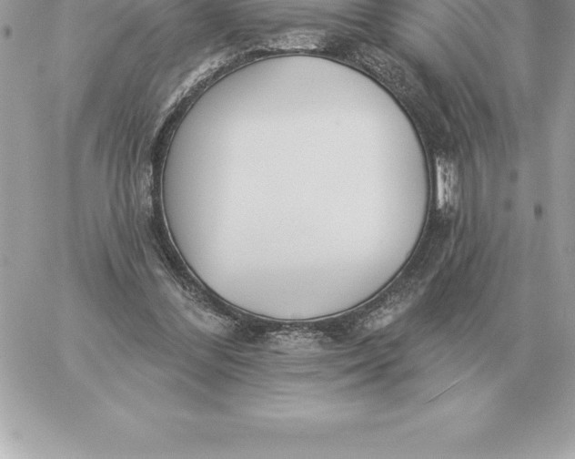 X0000060270300200511112054