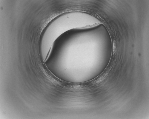 X0000060270301200511112054