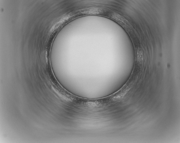 X0000060270302200511112054