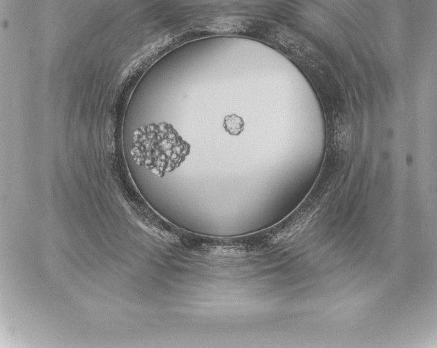 X0000060270303200511112054