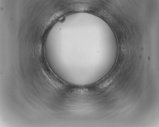 X0000060270304200511112054