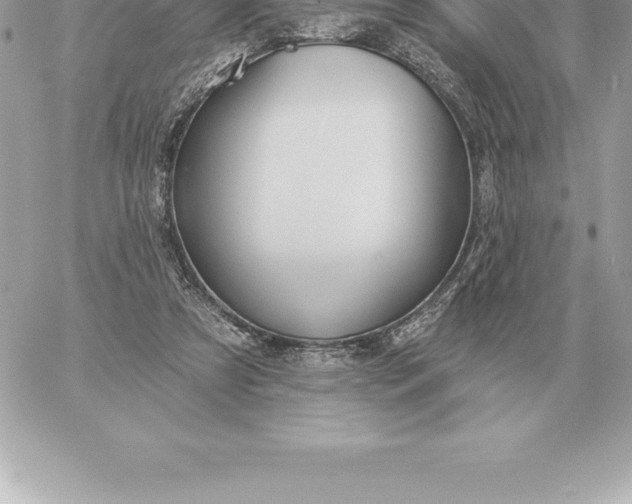 X0000060270305200511112054