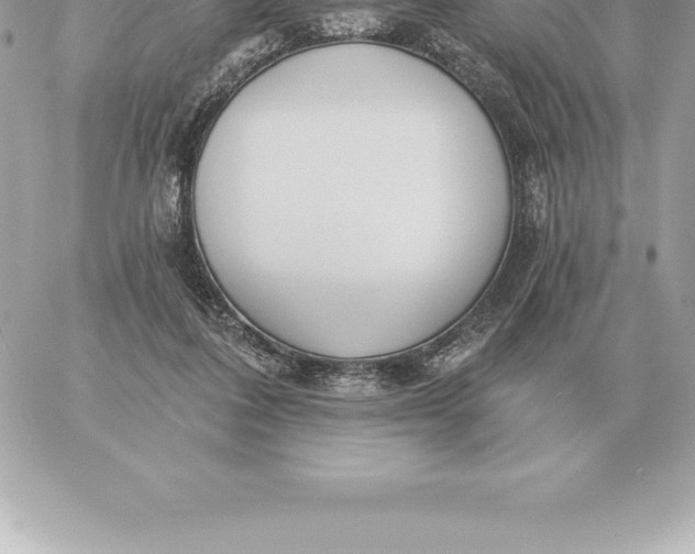 X0000060270308200511112054