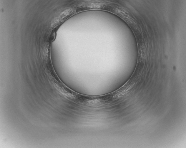 X0000060270309200511112054