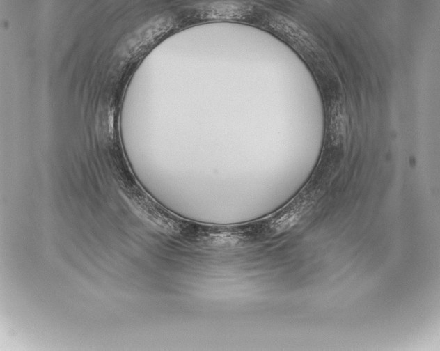 X0000060270310200511112054