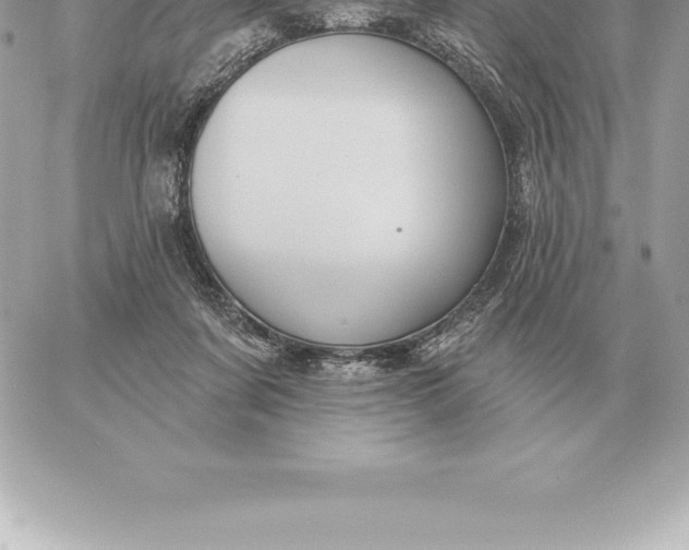 X0000060270311200511112054