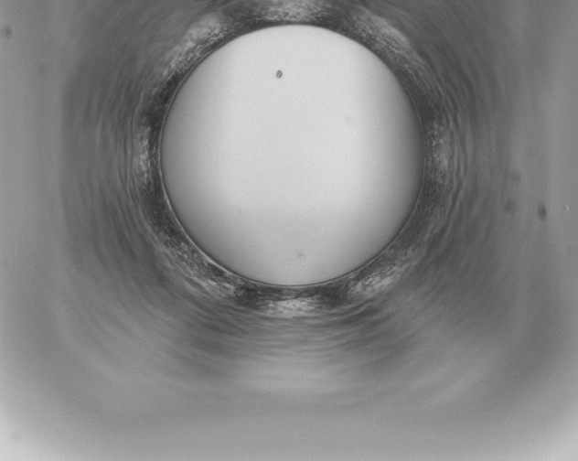 X0000060270312200511112054