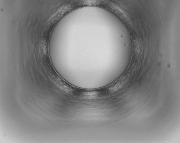 X0000060270313200511112054