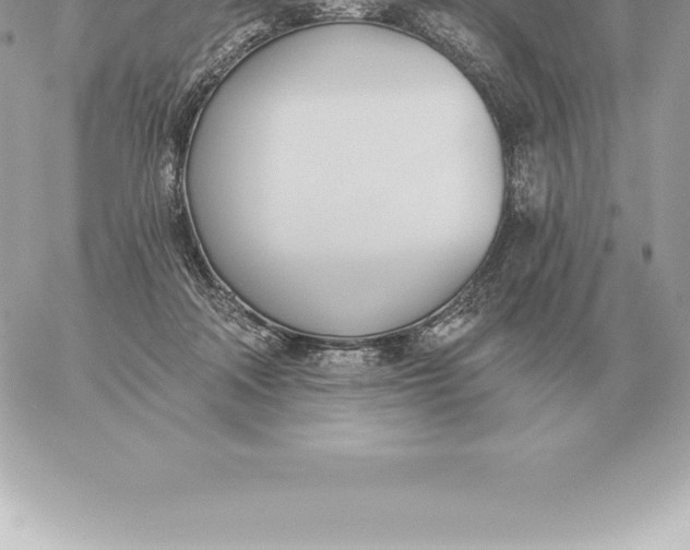 X0000060270314200511112054