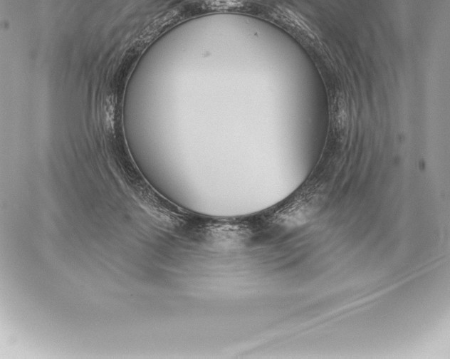 X0000060270315200511112054