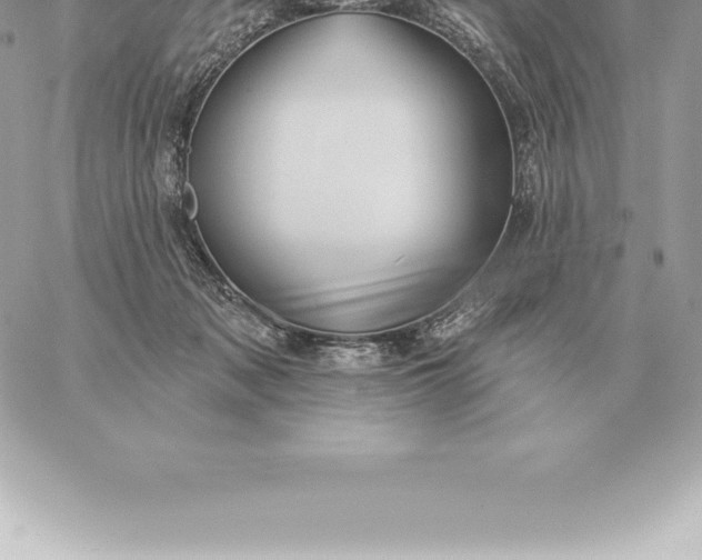 X0000060270317200511112054