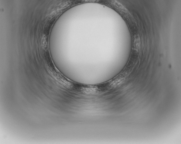 X0000060270318200511112053