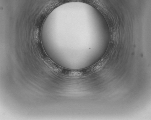 X0000060270319200511112053