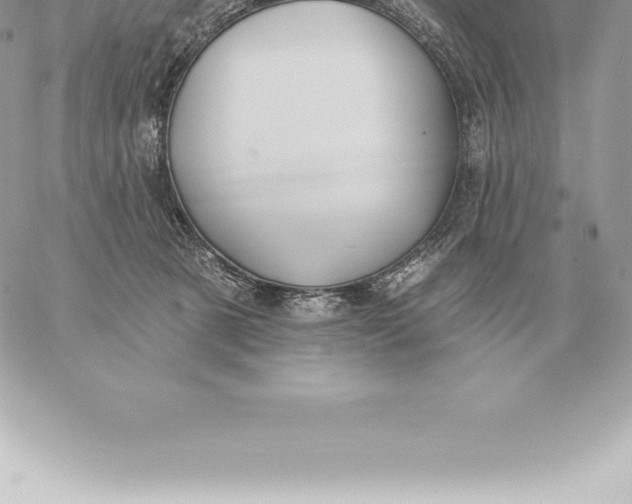 X0000060270321200511112053