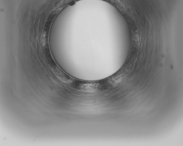 X0000060270323200511112053