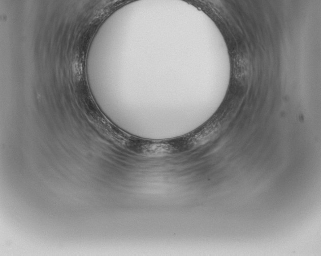 X0000060270324200511112053