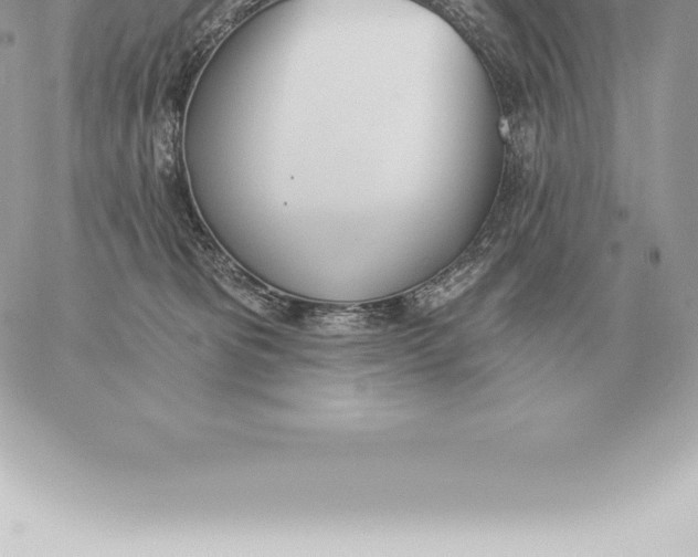 X0000060270325200511112053