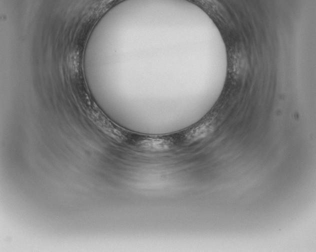 X0000060270326200511112053