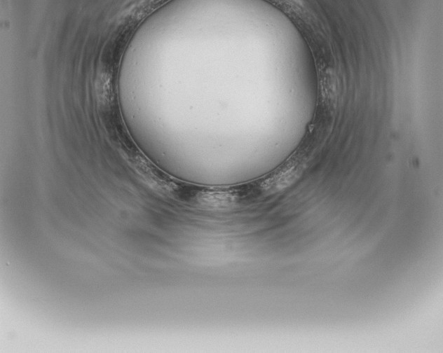 X0000060270327200511112053