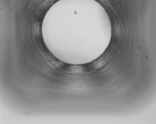 X0000060270328200511112053