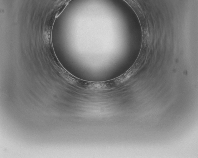 X0000060270329200511112053