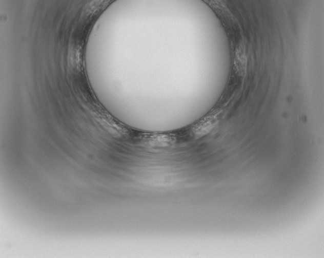 X0000060270330200511112053