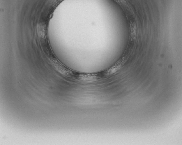 X0000060270331200511112053