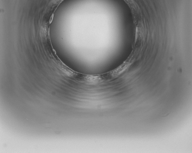 X0000060270333200511112053