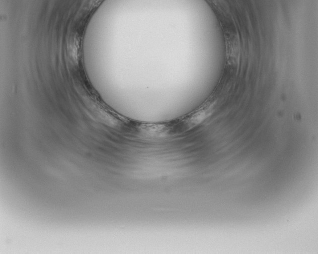 X0000060270334200511112053