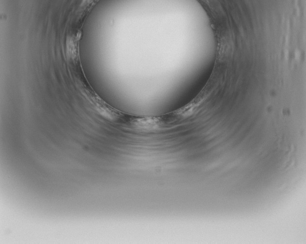 X0000060270335200511112053